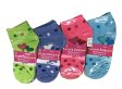 (image for) Women Dots & Heart Print Low Cut Socks DZ (12 Pairs) - Assorted Color