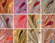 (image for) Multi-Colored Paisley Pashmina 1 DZ, Asst. Color