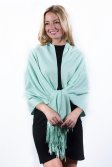 (image for) Mint Cream Premium Thick Pashmina