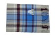 (image for) Woven Cashmere Feel Plaid Scarf Z44 Blue