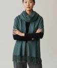 (image for) Silky Soft Solid Pashmina Scarf Cushing Green