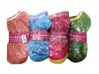 (image for) Women Mini Dots Low Cut Socks Dozen (12 Pairs) - Assorted Color